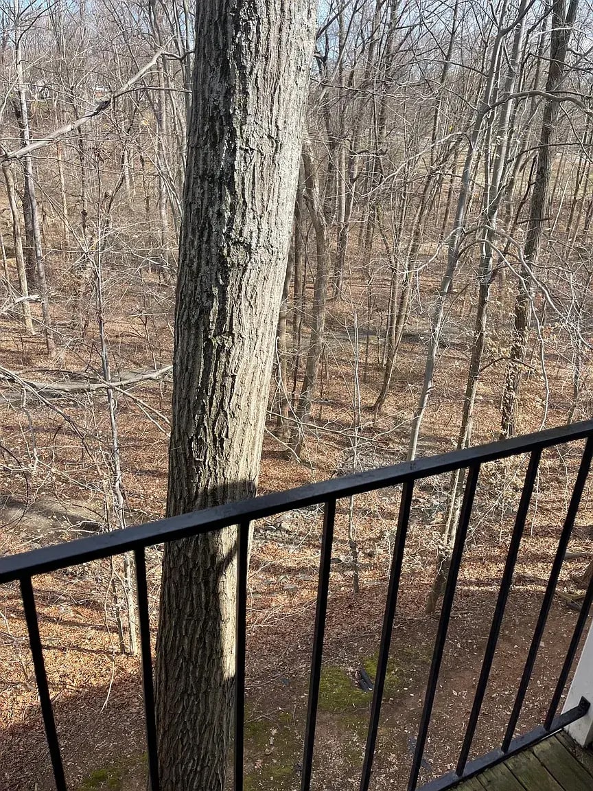 Building Photo - 20253 Shipley Ter