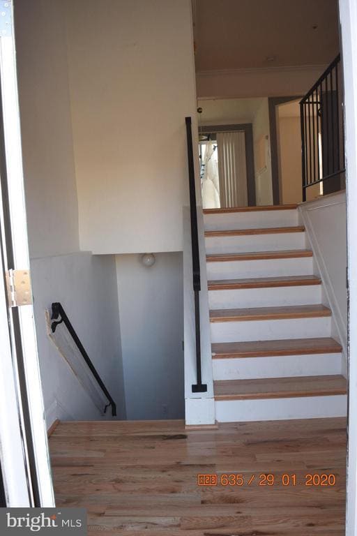 Building Photo - 3705 Monacco Ct