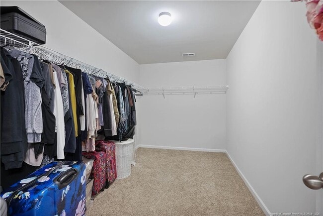 Building Photo - 178 Hedge Hunter Ct