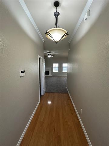 Building Photo - 163 Overland Tr