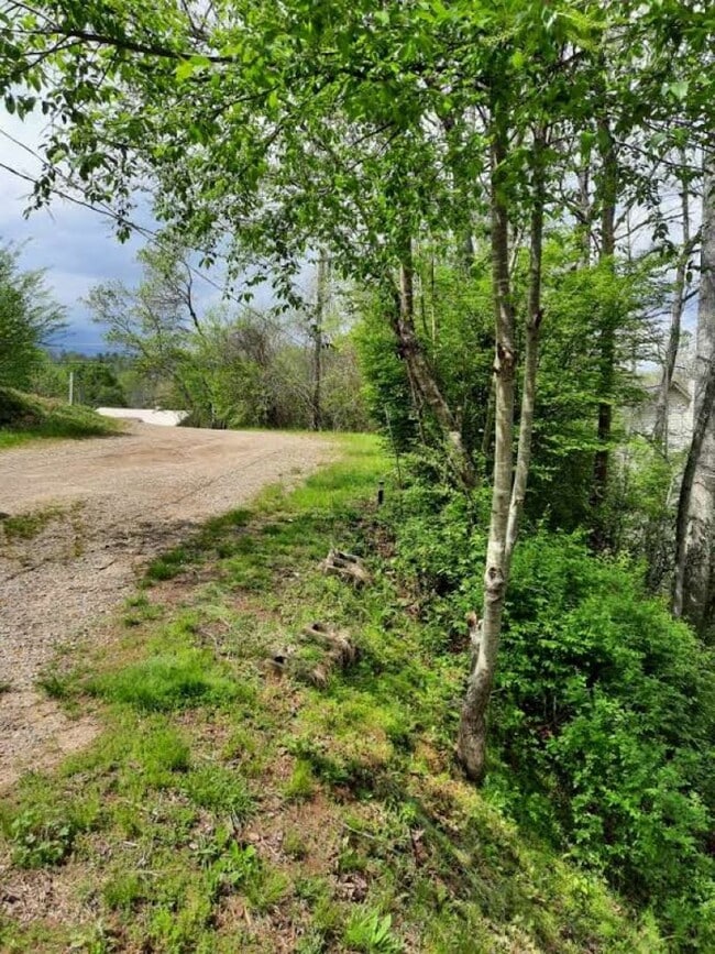 Building Photo - $1,500 - 2 Bedroom 1.5 Bathroom Cottage on...