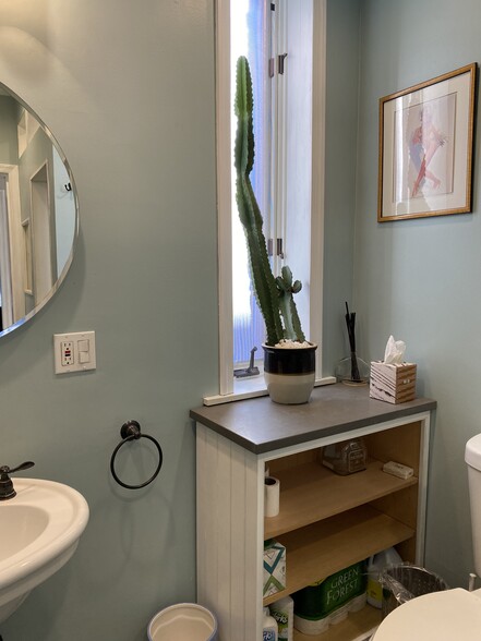 Luxurious bathroom - 346 Bushkill St