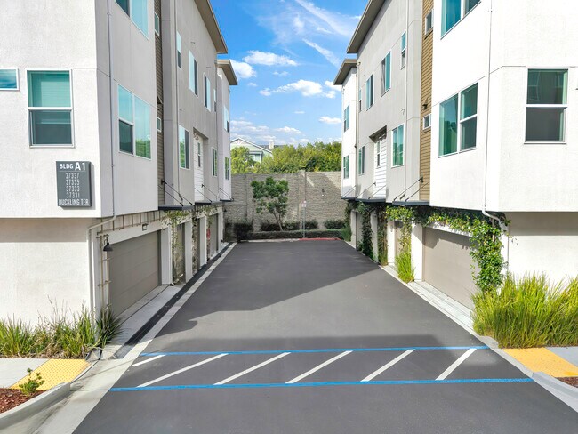 Building Photo - 37335 Duckling Ter