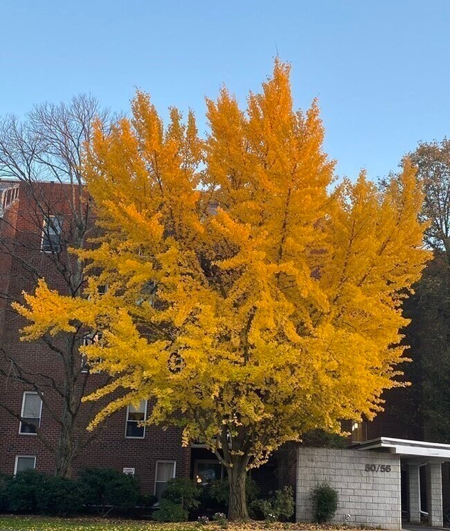 Building Photo - 50-56 Broadlawn Park