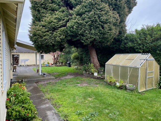 Building Photo - 4/2 Spacious house and yard, near services