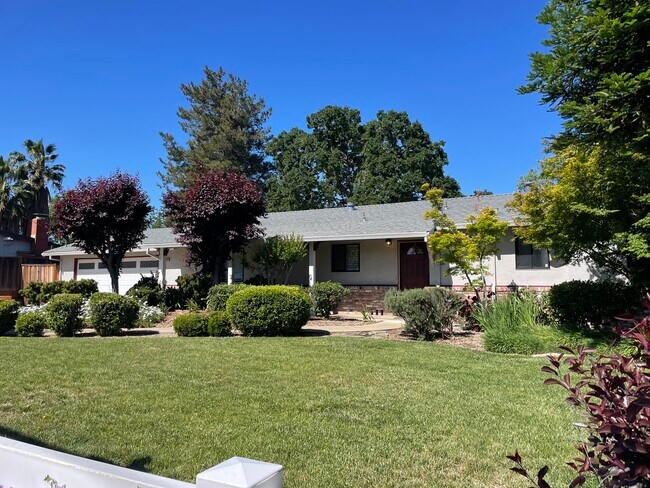 Primary Photo - 1481 El Camino Dr