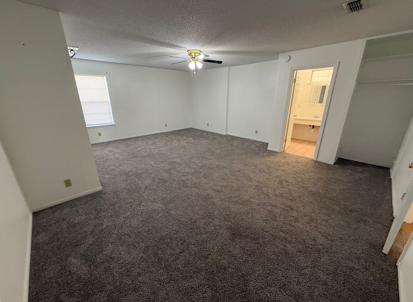 Building Photo - 2903 Shadow Bend Dr