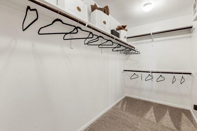 Building Photo - 420 Staunton Dr