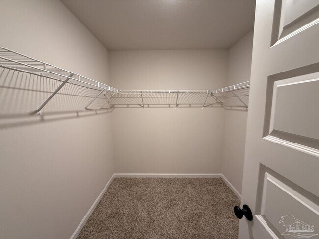 Building Photo - 4424 White Cedar Ct