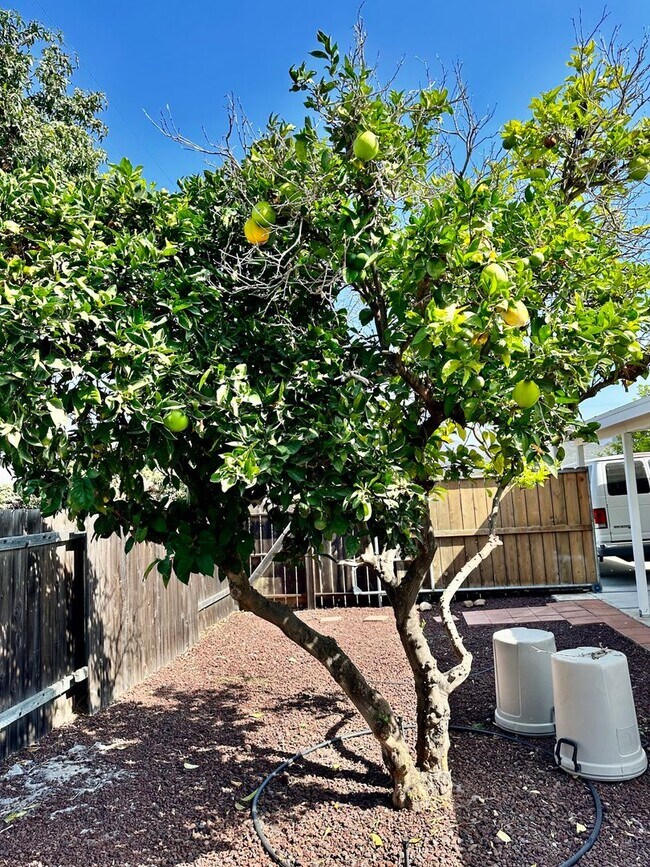 Building Photo - Beautifully Remodeled Allied Gardens Home