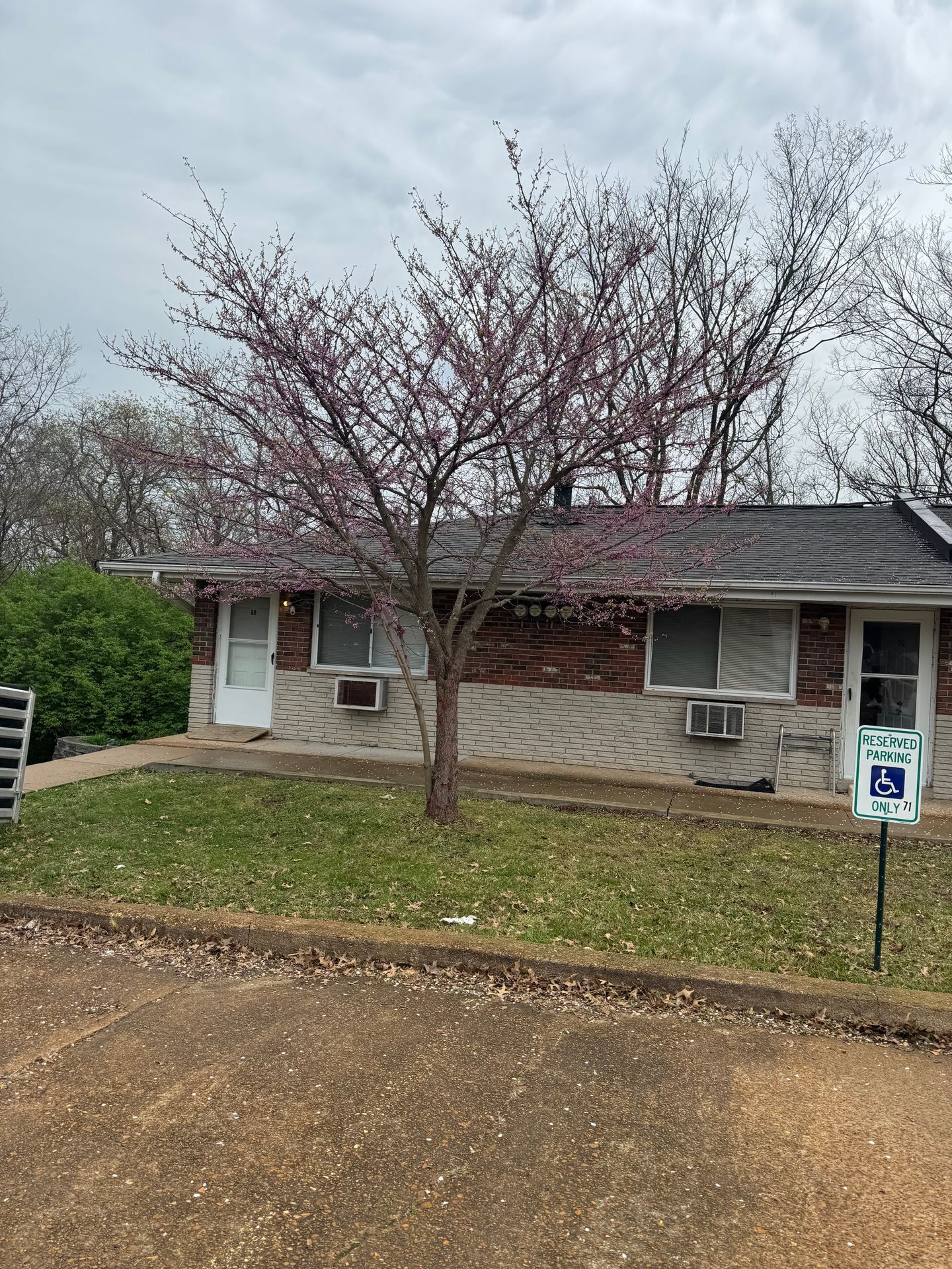 Building Photo - 2408 Williams Creek Rd