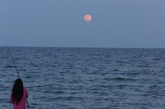 Building Photo - 95 N Birch Rd