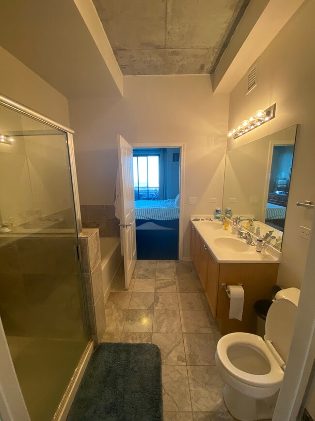 Master bath - 1464 S MICHIGAN Ave