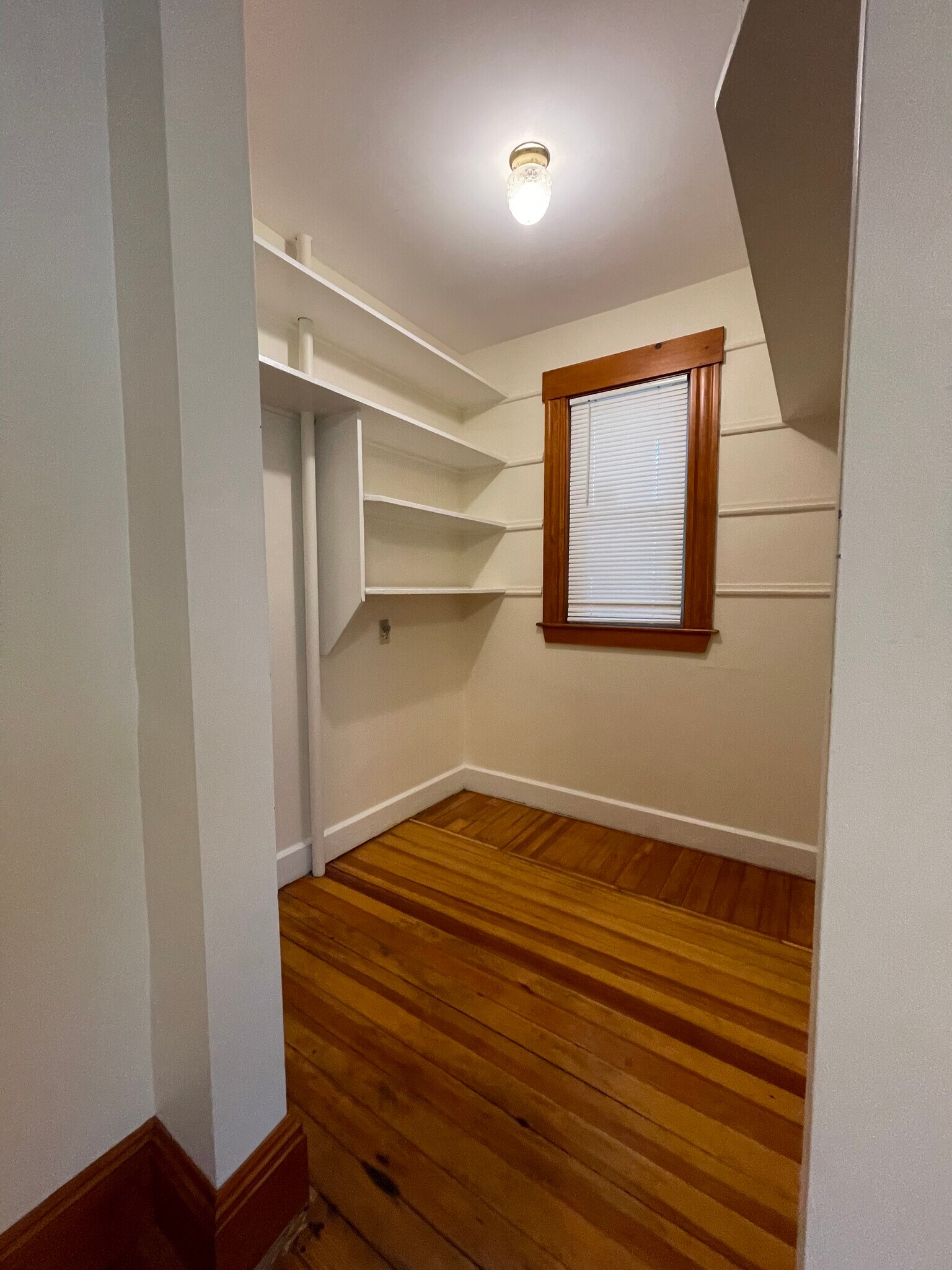 Building Photo - 60 Landseer St