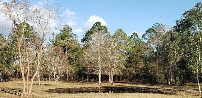 Building Photo - 6254 Shady Creek Dr