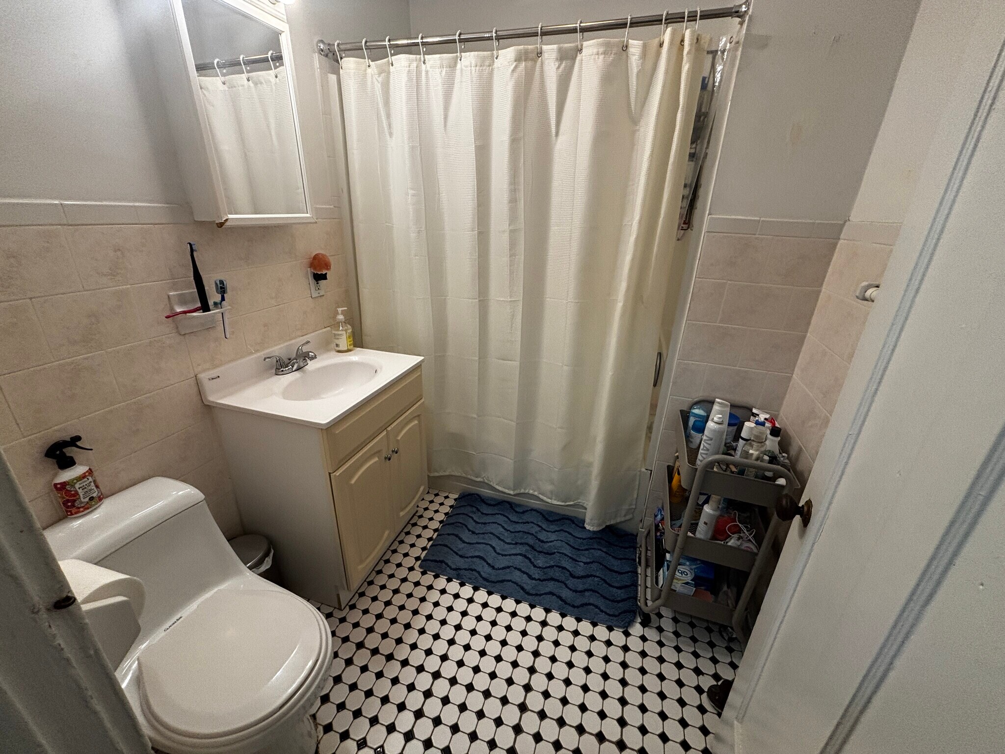 Building Photo - 66 Egmont St