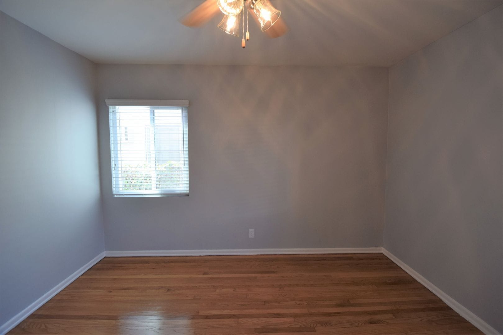 Building Photo - 823 Orange Grv Ave