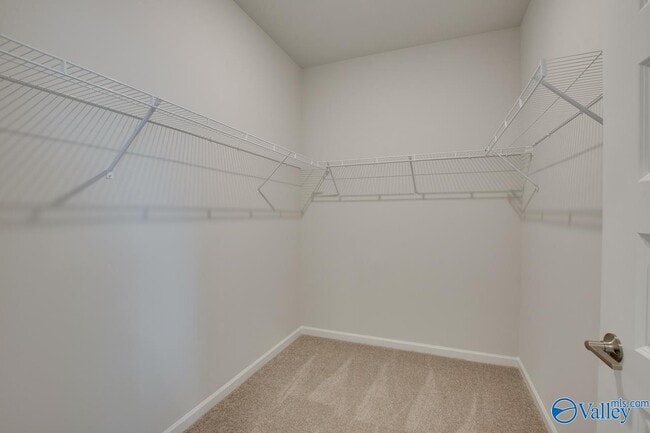 Building Photo - 169 Protestant Dr