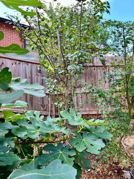 Building Photo - 375 Cologne Dr SE