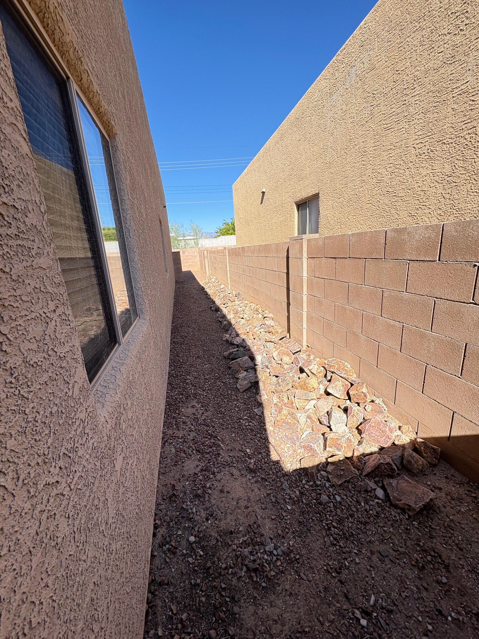 Side Yard - 8519 E Seabury Ct