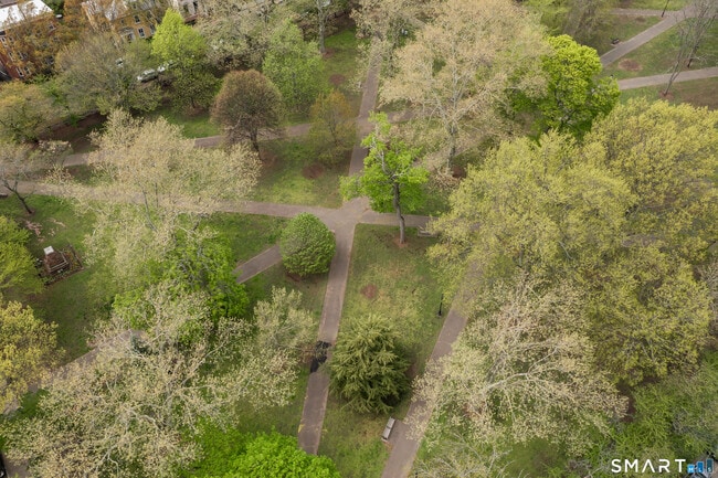 Building Photo - 556 Chapel St