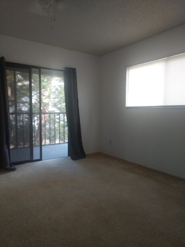 Building Photo - 2 Bedroom/2 Bath Palm Harbor Condo