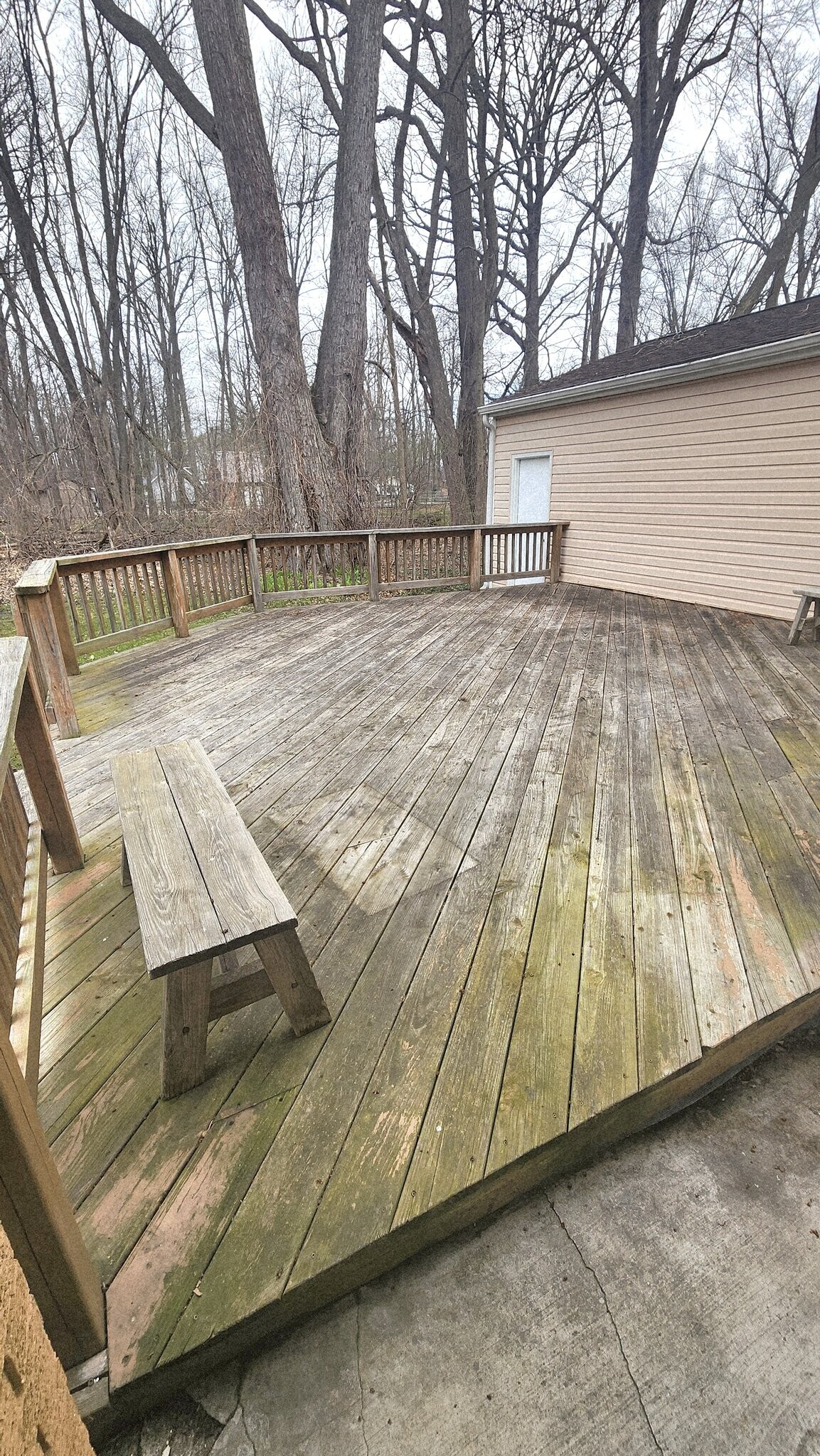 Building Photo - 1036 Forest Ave