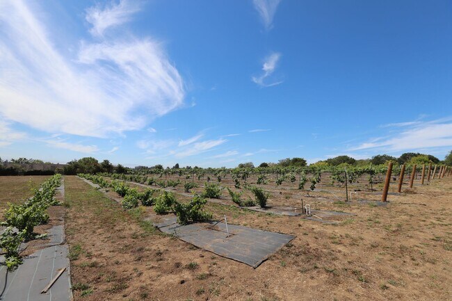 Building Photo - Watsonville: Tranquil Home & Ranch/Farm on...