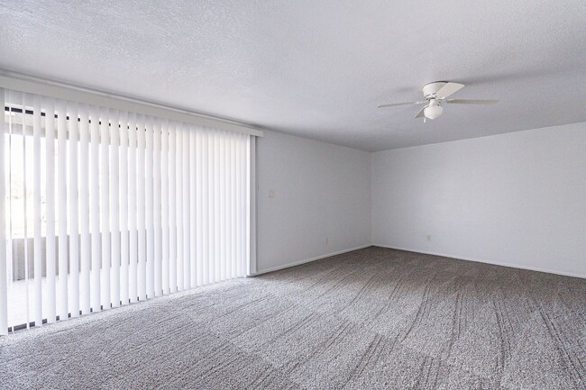 Building Photo - NEW CARPET!