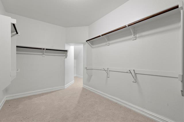 Building Photo - 1031 Enchanted Rock Dr