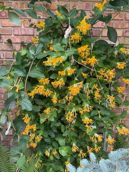 Building Photo - 3530 Hillside Rd