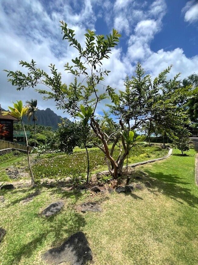 Building Photo - Gorgeous 2 Bedroom / 1 Bath in Waikane