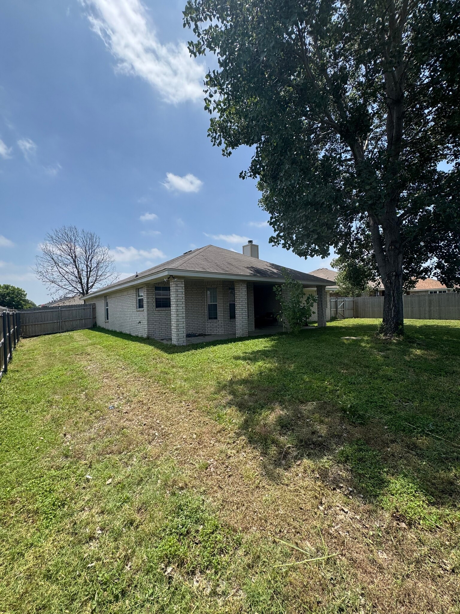 Backyard - 4301 Capri Dr