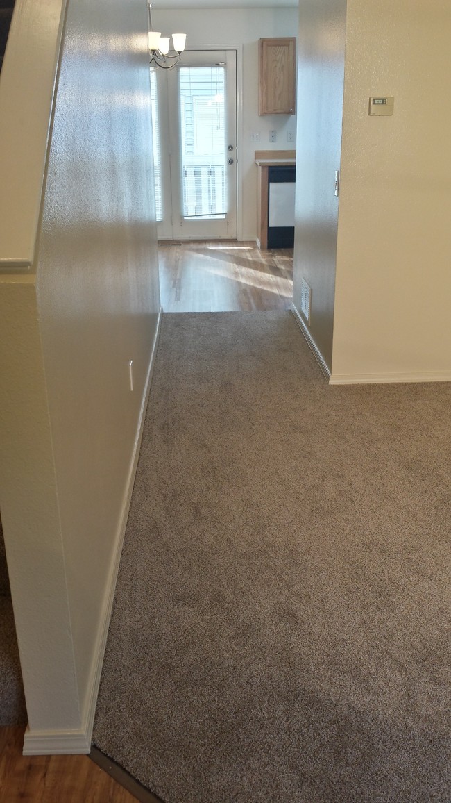New Carpet, Clean Crisp paint and Trim - 1211 Balfour Dr