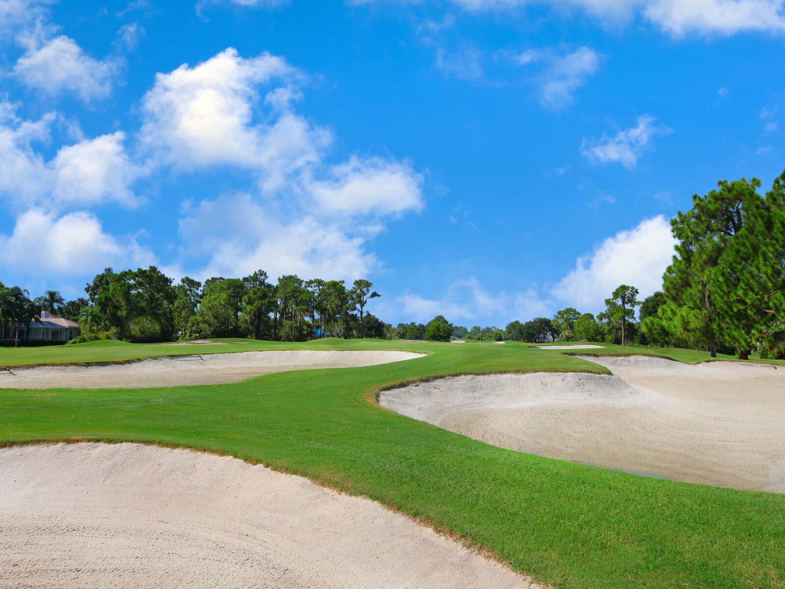 Building Photo - 7535 Ascot Ct