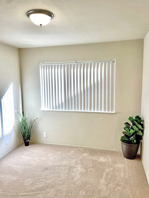 Building Photo - 369 palm ave