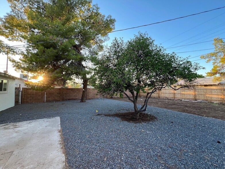 Backyard - 1368 W 14th St