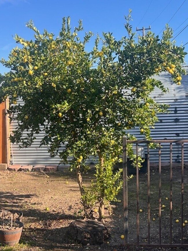 Building Photo - Charming Home with Expansive Yard, Fruit Trees & RV Parking