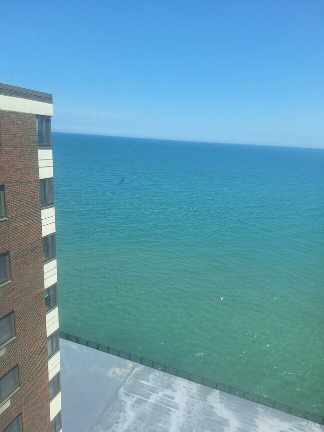 East window view - 7337 S South Shore Dr