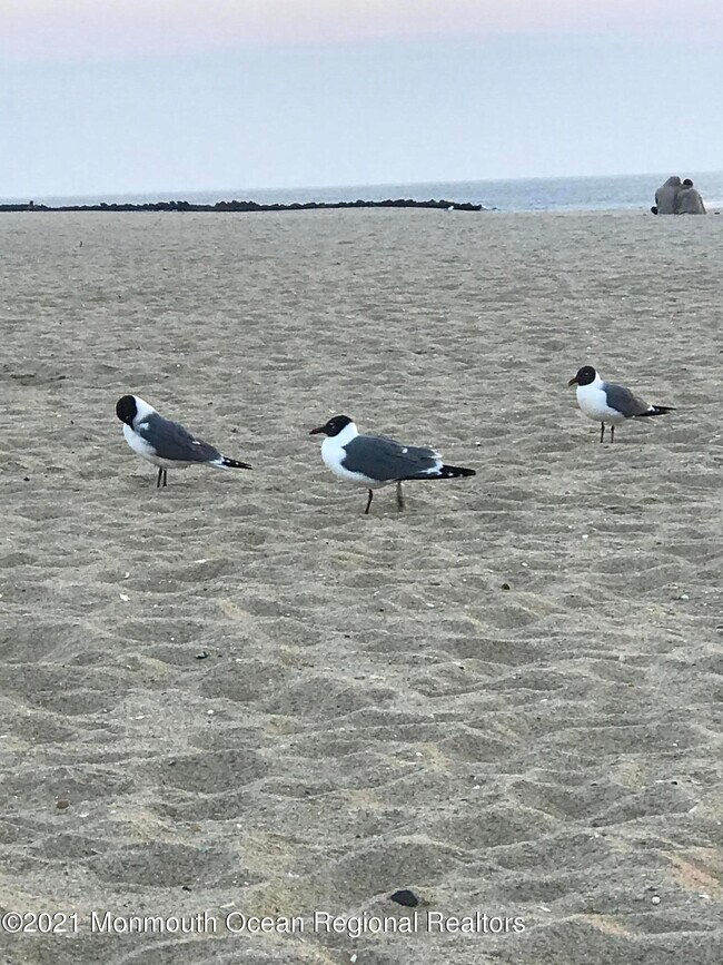 Building Photo - 24 Embury Ave