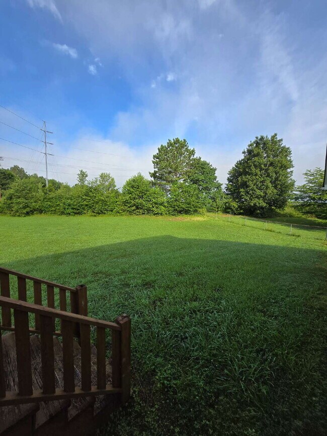 Building Photo - Fenced in 4 Bed /2 Bath House in Ringgold