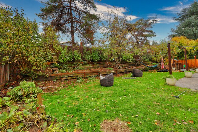 Back yard - 13408 SE 20th St