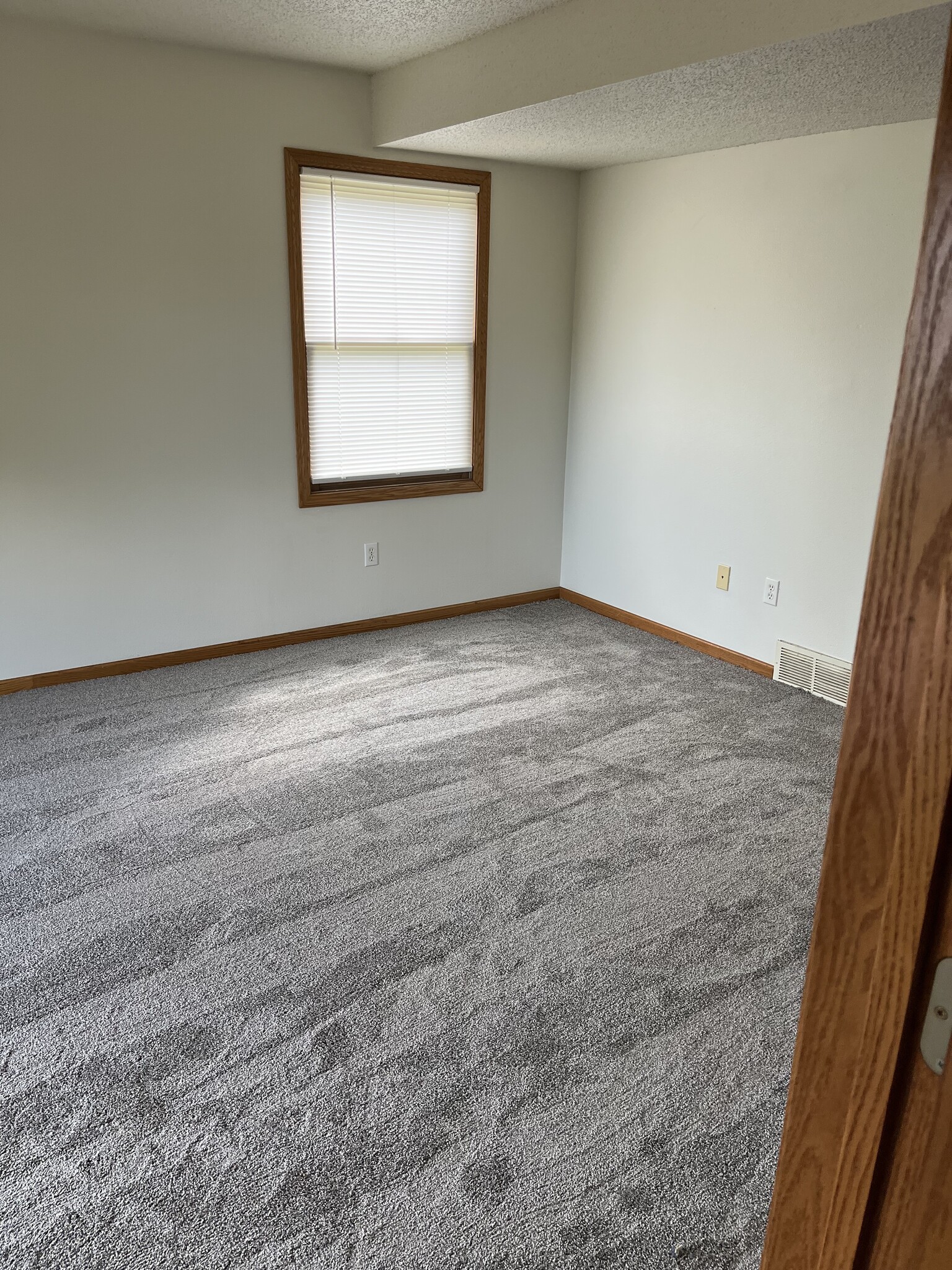 downstairs family room - 2115 14th St