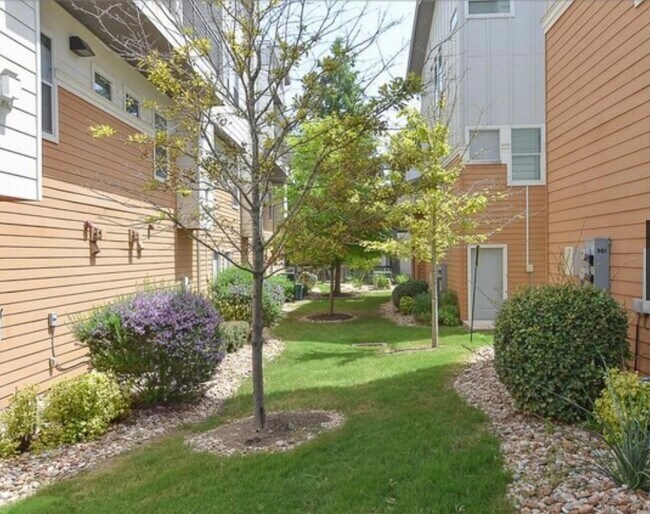 Dog Park - 2606 Wilson St