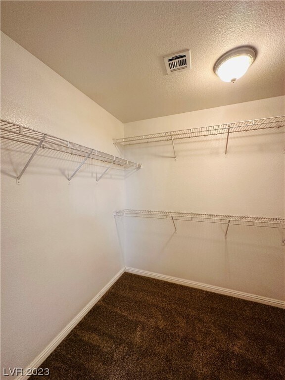 Building Photo - 2617 Rainbow Cactus Ct