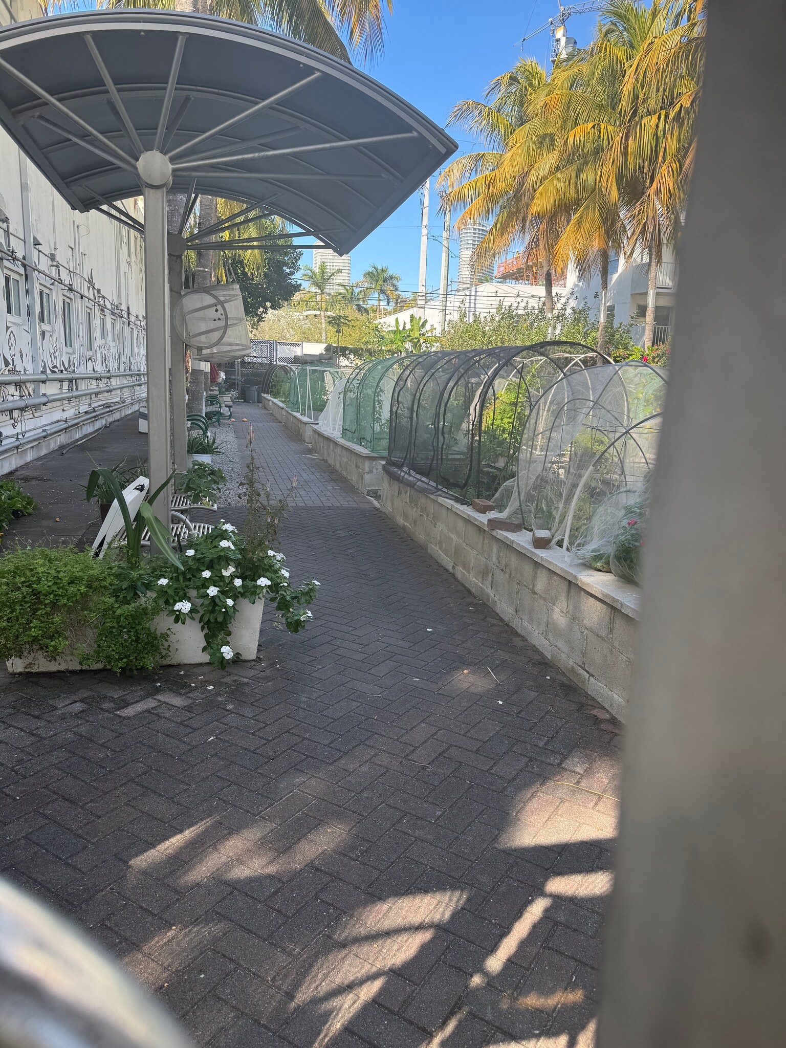 Building Photo - 220 Collins Ave