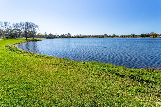 Building Photo - Wonderfully located 1/1 Duplex - No washer/dryer