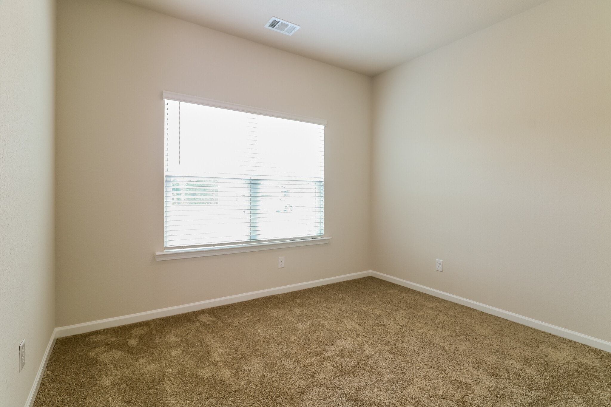 Building Photo - 3359 Bridgewood Dr