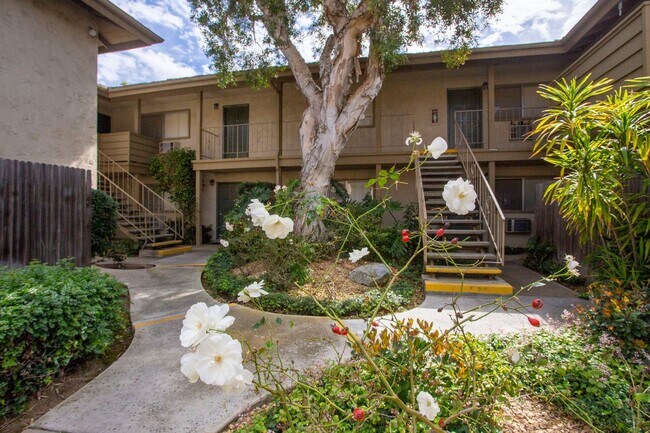 Building Photo - Chula Vista: Large One Bedroom in Gated Co...