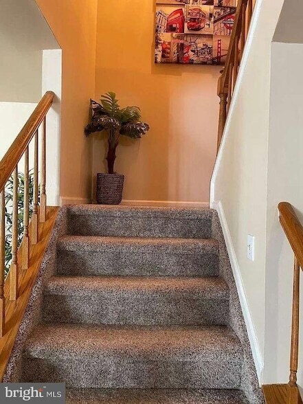 Building Photo - 15 Colebrook Ct